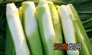 茭白里面的黑点是什么? 茭白里面的黑点叫什么