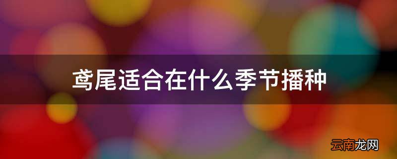 鸢尾适合在什么季节播种