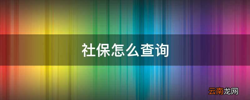 社保怎么查询