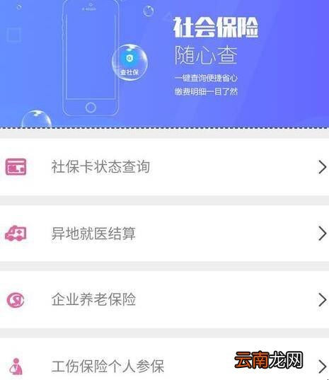 社保怎么查询