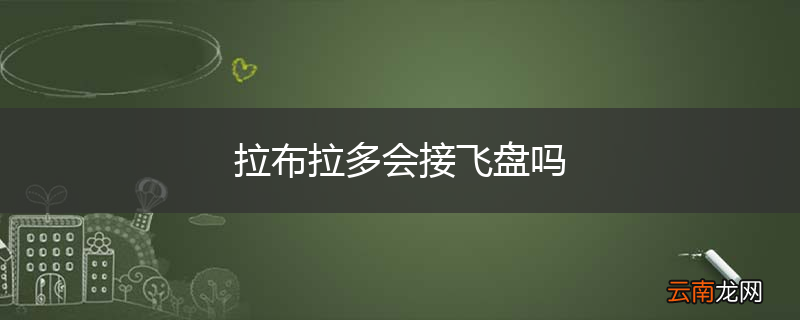 拉布拉多会接飞盘吗