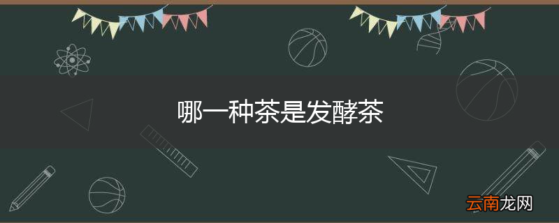 哪一种茶是发酵茶