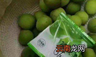 随便果泡开水还是温水 随便果怎么泡