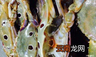 三眼蟹里面黑黑的是什么 三眼蟹里面黑黑叫什么
