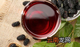 桑葚蒸熟了再泡酒比较好吗 桑葚是不是蒸熟了再泡酒比较好