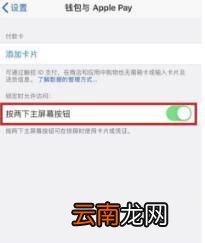 nfc苹果手机有这个功能吗
