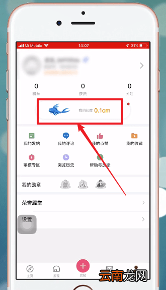 皮皮搞笑中养鲲具体操作步骤