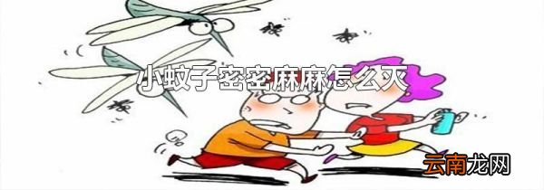 小蚊子密密麻麻怎么灭