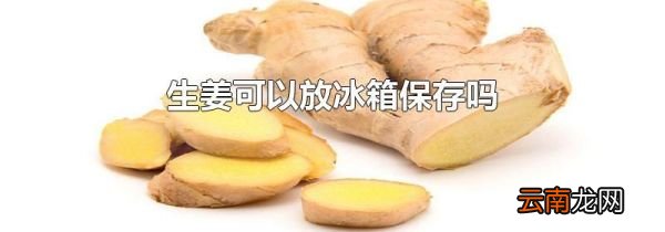 生姜可以放冰箱保存吗