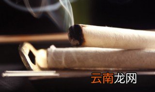 艾柱驱蚊子吗 艾柱能不能驱蚊子