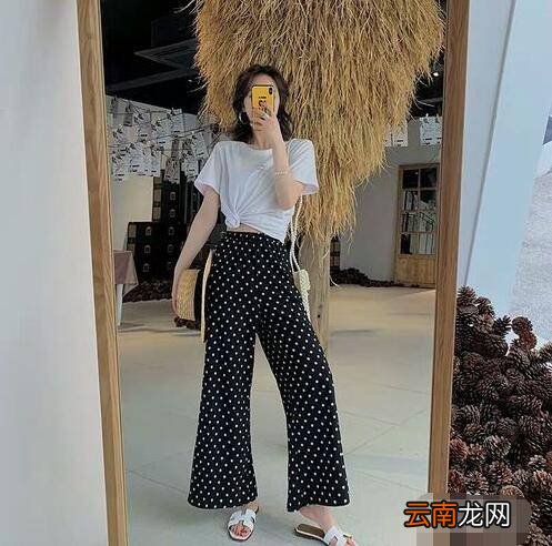 黑色波点裤子配什么上衣好看