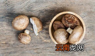 怎么养殖菌菇，怎样种植菌菇