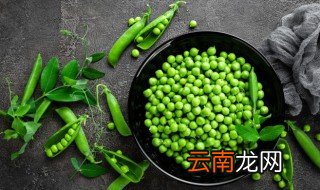 豌豆最长久的保存方法 豌豆最长久的保存方法是什么