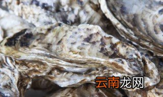 生蚝屎在哪 生蚝屎在哪里