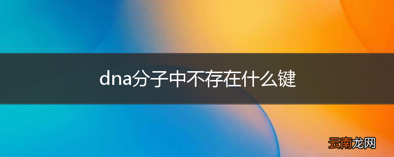 dna分子中不存在什么键