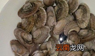 蚬子怎么养 蚬子怎么养殖技术