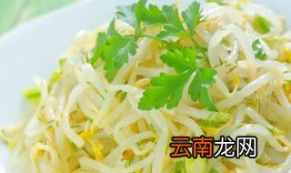 绿豆芽面条怎么做好吃 绿豆芽面条如何做好吃