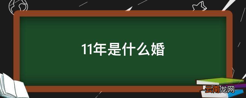 11年是什么婚