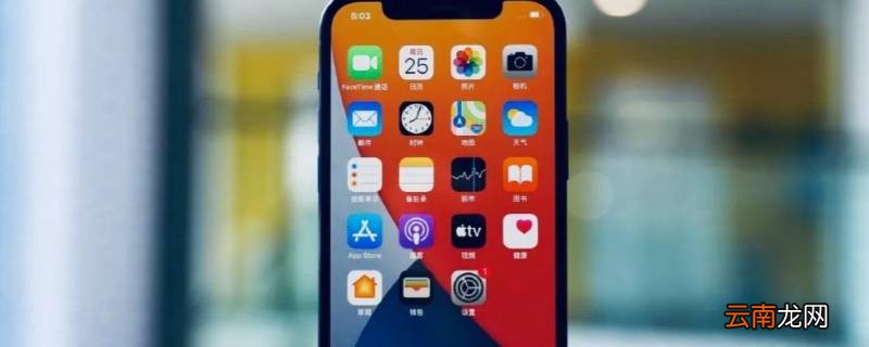 ip12和ip12pro的区别