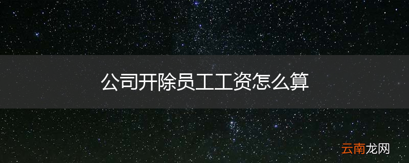 公司开除员工工资怎么算