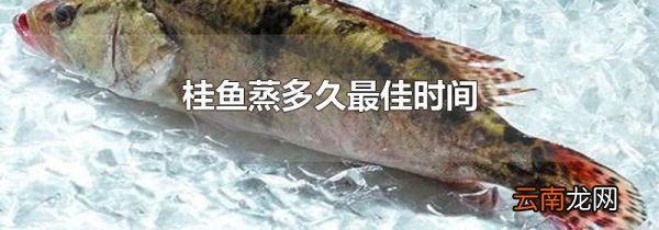 桂鱼蒸多久最佳时间