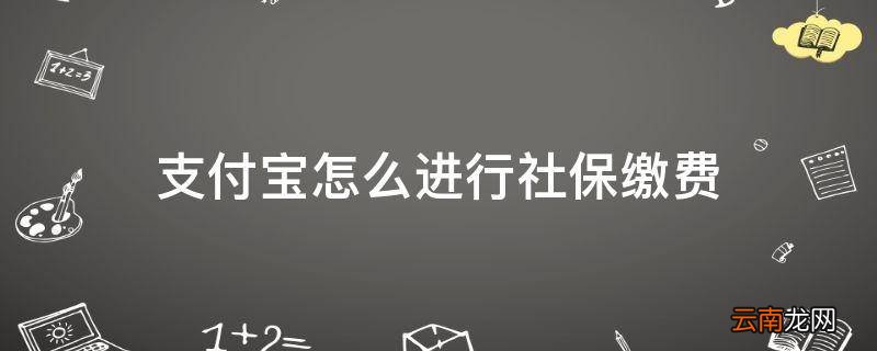支付宝怎么进行社保缴费