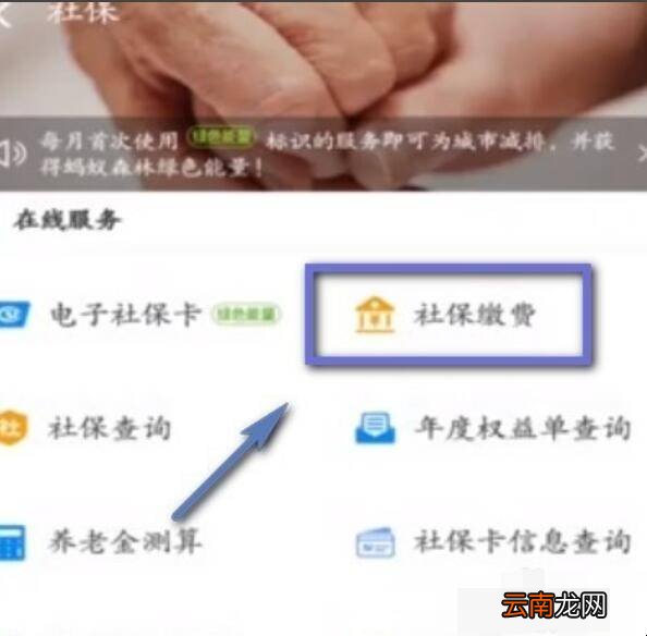 支付宝怎么进行社保缴费