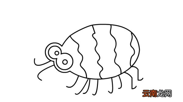 甲虫简笔画