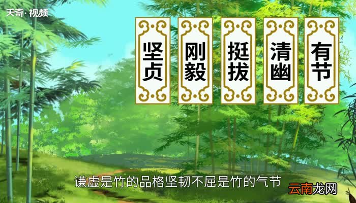 竹子的品质是什么 竹子的品质有哪些
