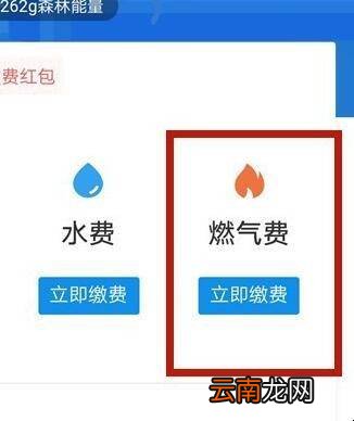 燃气费怎么交