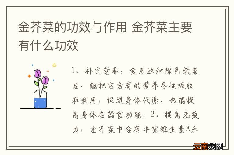 金芥菜的功效与作用 金芥菜主要有什么功效