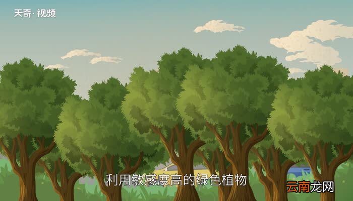 绿色植物的作用 绿色植物有什么作用