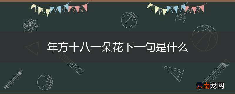 年方十八一朵花下一句是什么