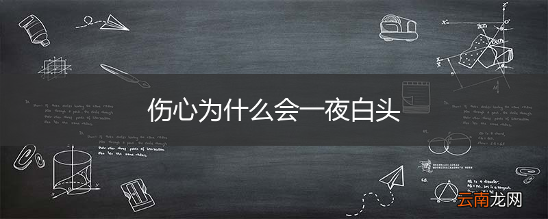 伤心为什么会一夜白头