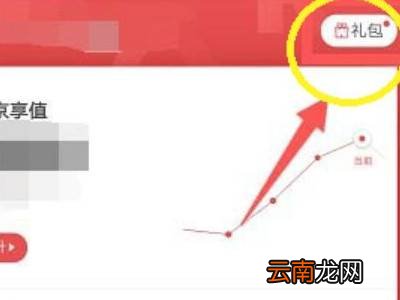 京东生日礼包在哪里领