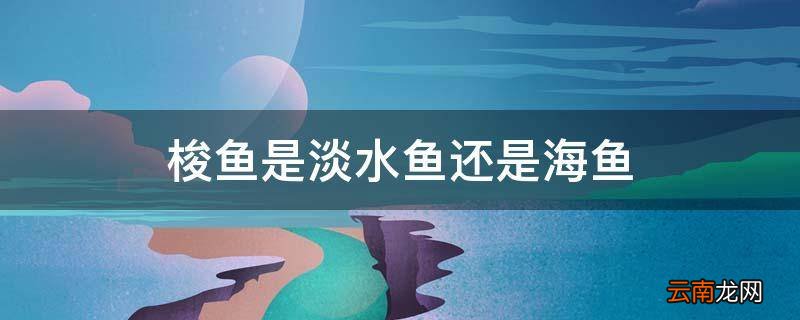 梭鱼是淡水鱼还是海鱼