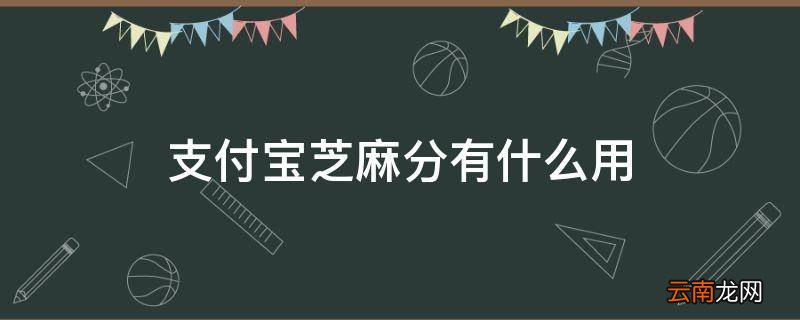 支付宝芝麻分有什么用