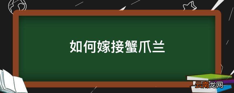 如何嫁接蟹爪兰