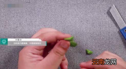 如何嫁接蟹爪兰