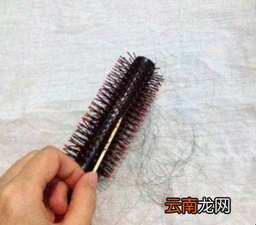 卷梳怎么清洗干净