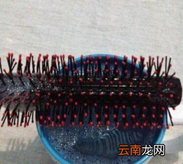 卷梳怎么清洗干净