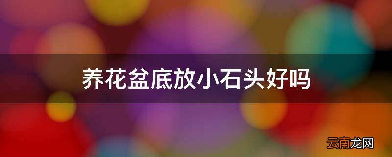 养花盆底放小石头好吗