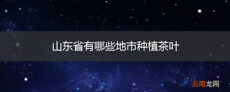 山东省有哪些地市种植茶叶