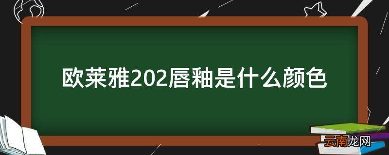 欧莱雅202唇釉是什么颜色