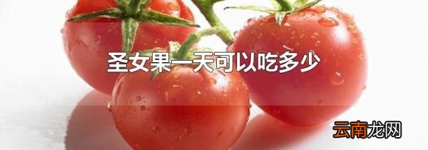 圣女果一天可以吃多少