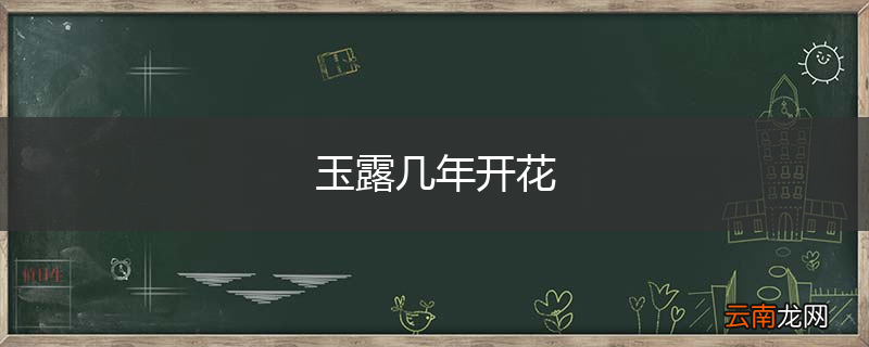 玉露几年开花