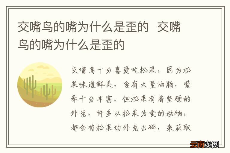 交嘴鸟的嘴为什么是歪的交嘴鸟的嘴为什么是歪的