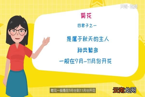 十月开什么花 十月开的花有哪些