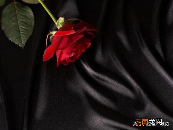 让水瓶女爱上你的技巧绝招 彻底征服水瓶女必杀技