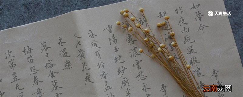 词牌名有哪些 古诗词词牌名都有哪些
